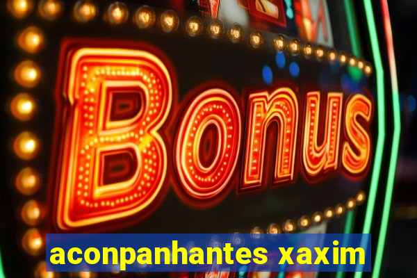 aconpanhantes xaxim